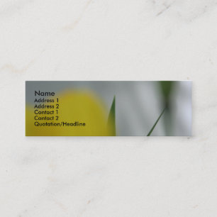 Cartão De Visita Mini Poppies e sombras 4