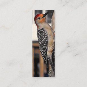 Cartão De Visita Mini Retrato de Pica-Pau