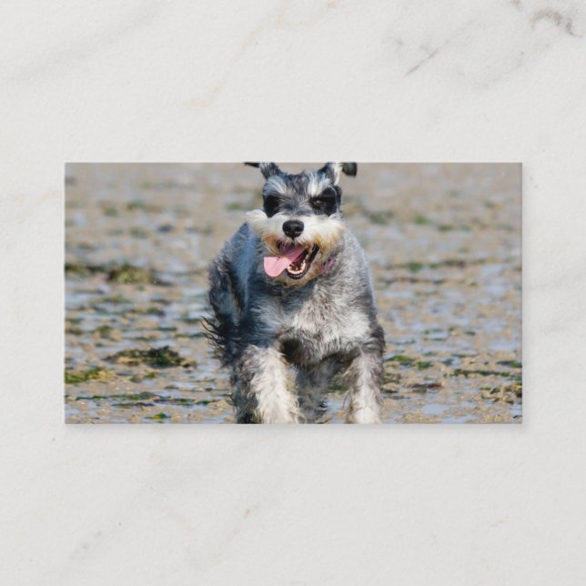 Cartão De Visita mini schnauzer (Frente)