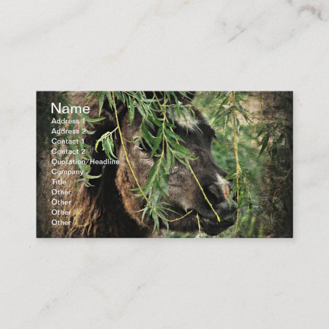 Cartão De Visita Mini sendo o nery (Frente)