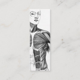 Cartão De Visita Mini Torso da anatomia | B/W do vintage (cerca de 1852)