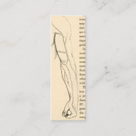 Cartão De Visita Mini Veias da anatomia | do vintage do braço (cerca de