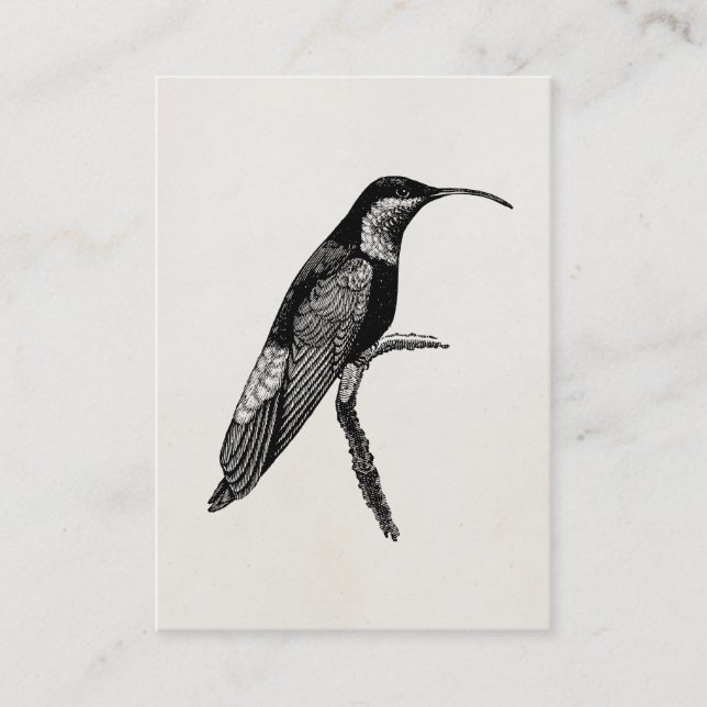 Cartão De Visita Modelo da ilustração do pássaro do colibri do (Frente)