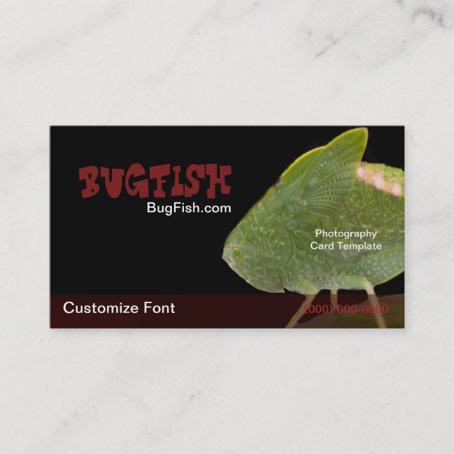 Cartão De Visita Modelo de fotografia de BugFish (Frente)