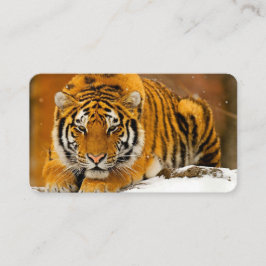 Cartão De Visita Modern Animal Art Card Set – Tiger & Fantasy Bird
