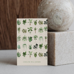 Cartão De Visita Moderno Boho Plantas Verdes Botânico Natureza