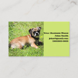 Cartão De Visita Molly