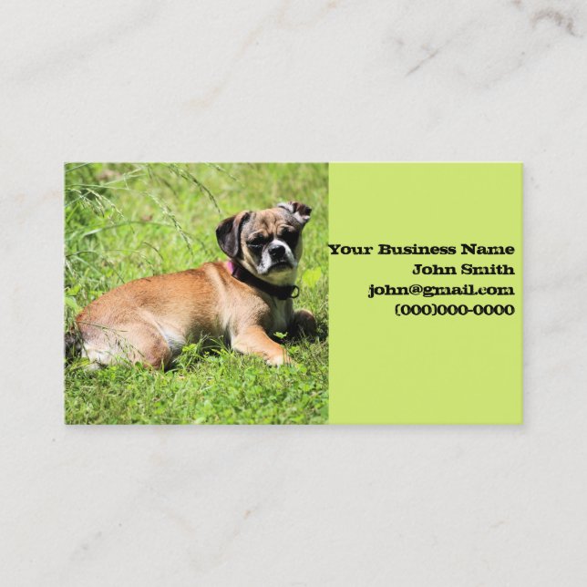 Cartão De Visita Molly (Frente)