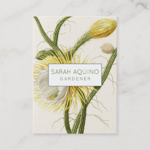 Cartão De Visita Moonlight Cactus