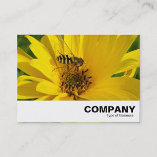 Cartão De Visita Mosca-do-mato num crisântemo amarelo