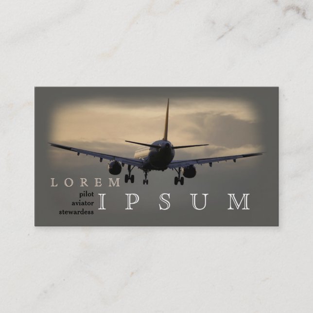 Cartão De Visita Mosca piloto da viagem do céu do plano do (Frente)