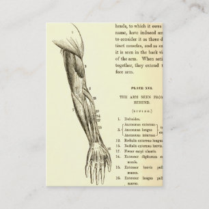 Cartão De Visita Músculos da anatomia   do vintage do braço (cerc