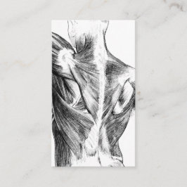 Cartão De Visita Músculos traseiros da anatomia | do vintage (cerca