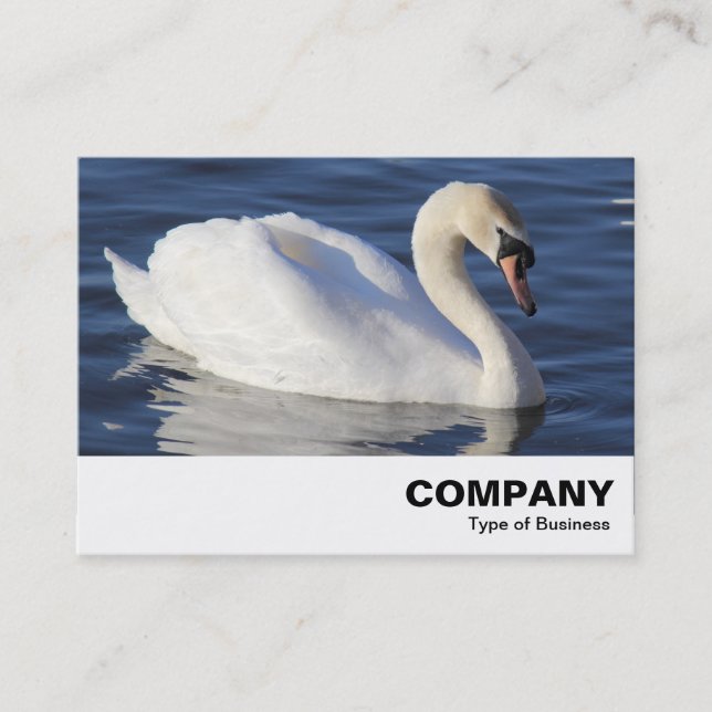 Cartão De Visita Mute Swan (Frente)