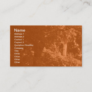 Cartão De Visita Nas Árvores - Laranja