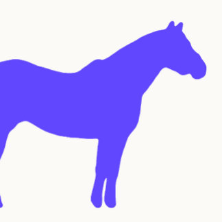 Cartão De Visita Negócios de Treinador de Cavalos Azul Simples e Mo