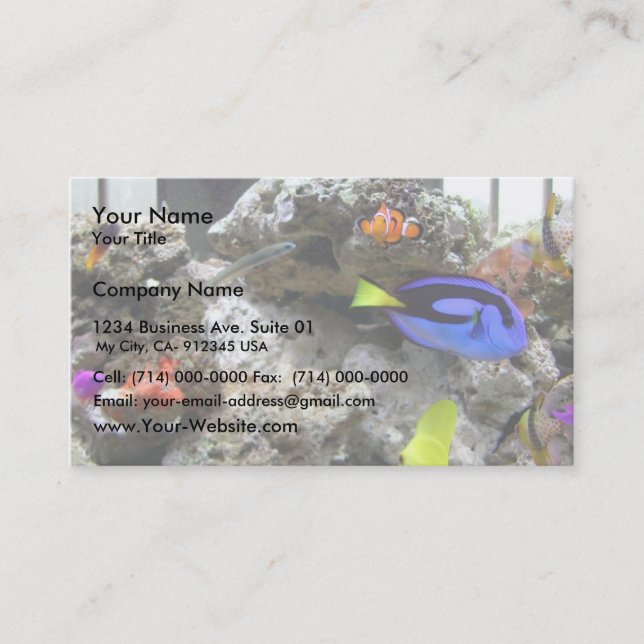 Cartão De Visita Nemo Com Sua Gangue (Frente)