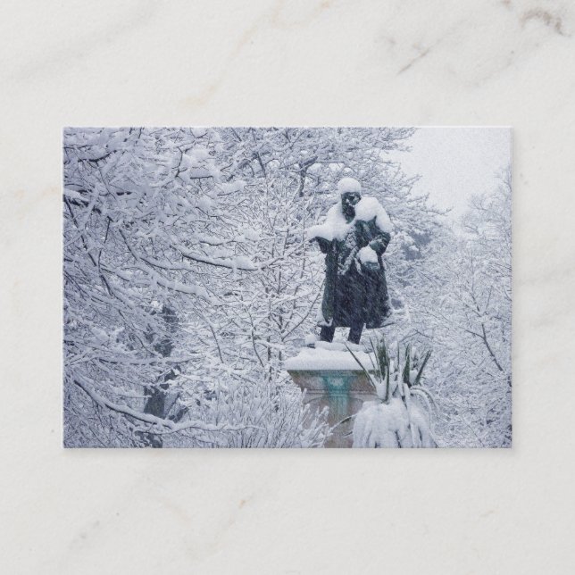 Cartão De Visita Neve no Parque (Frente)