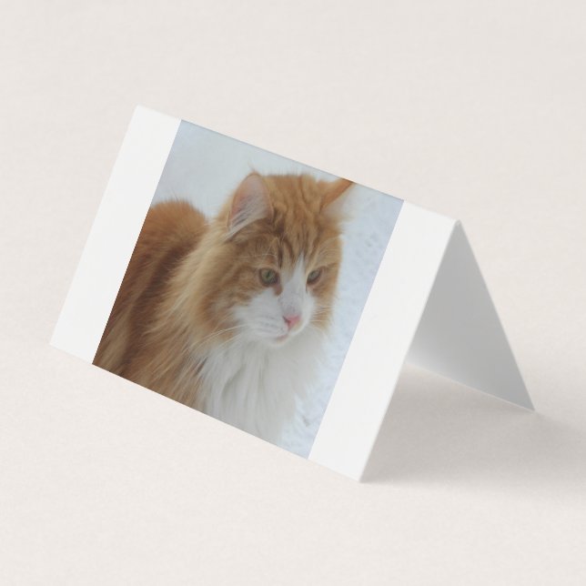Cartão De Visita Norwegian_Forest_Cat (Frente)