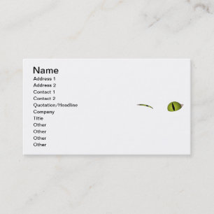 Cartão De Visita Nós somos tudo loucos aqui