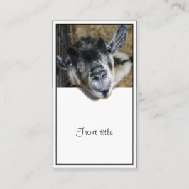 Cartão De Visita Nosy Goat Olhando