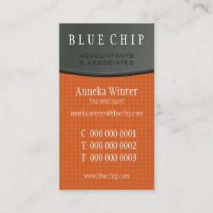 CARTÃO DE VISITA NOVO:: painel de prata 7P