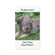 O cão com cabelo sobre ele é olhos