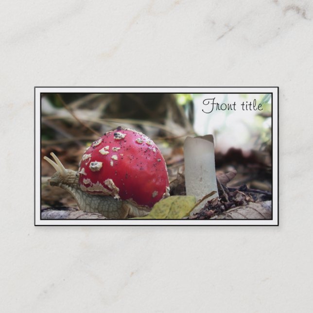 Cartão De Visita O Caracol Novo Lar (Frente)