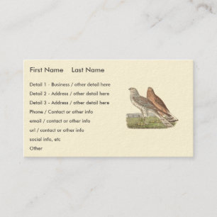 Cartão De Visita O Norte Harrier NY Bird