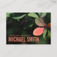 O outono do outono deixa a foto da folhagem verde 