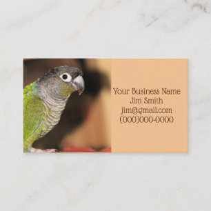 Cartão De Visita Oliver