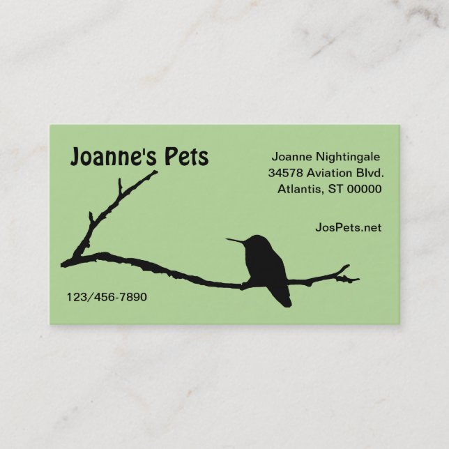 Cartão De Visita Ônibus. Placa - Hummingbird na Ramificação (Frente)