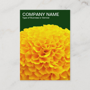 Cartão De Visita Orange Chrysanthemum - Verde Escuro 003300