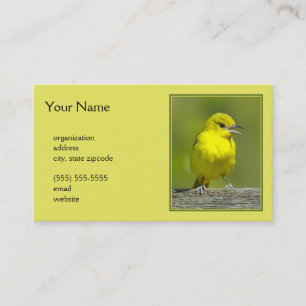 Cartão De Visita Orchard Oriole - Fotografia original
