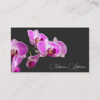 Orquídea cor-de-rosa-flor caligrafia cinza escura