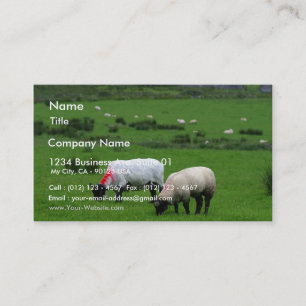 Cartão De Visita Os carneiros aproximam Deerpark Ireland
