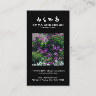 Cartão De Visita Os elementos Ambiente