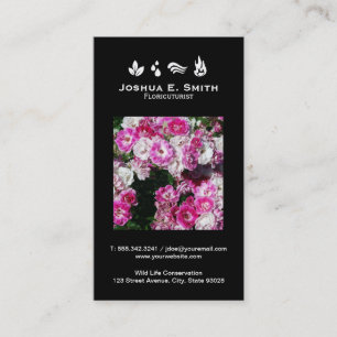 Cartão De Visita Os elementos   Ambiente V