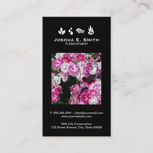 Cartão De Visita Os elementos | Ambiente V (Frente)