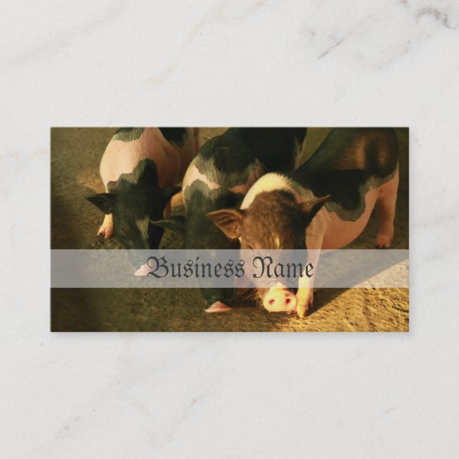 Cartão De Visita Os três porcos pequenos (Frente)