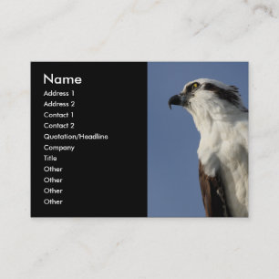Cartão De Visita osprey