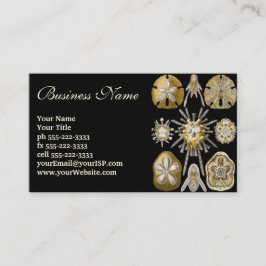 Cartão De Visita Ouriços-do-mar Antigos Dólares de Areia por Ernst 