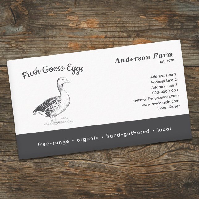 Cartão De Visita Ovos de ganso frescos de Fazenda simples (Simple Farm Fresh Goose Eggs Business Card)