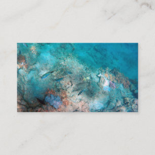 Cartão de visita padrão de 3,5" x 2,0"