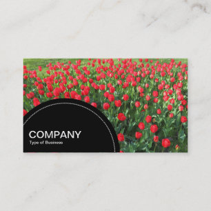 Cartão De Visita Painel semicírculo (pontos) - Cama de Tulipas Verm