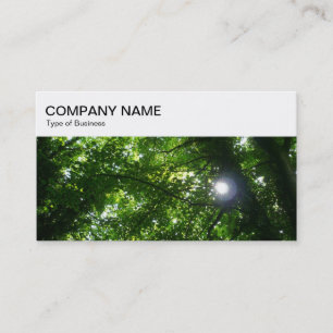Cartão De Visita Painel Superior - Sun Brilhando Através de Árvores