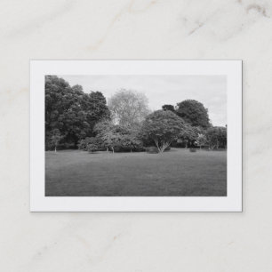Cartão De Visita Paisagem de Parque (Bordado)