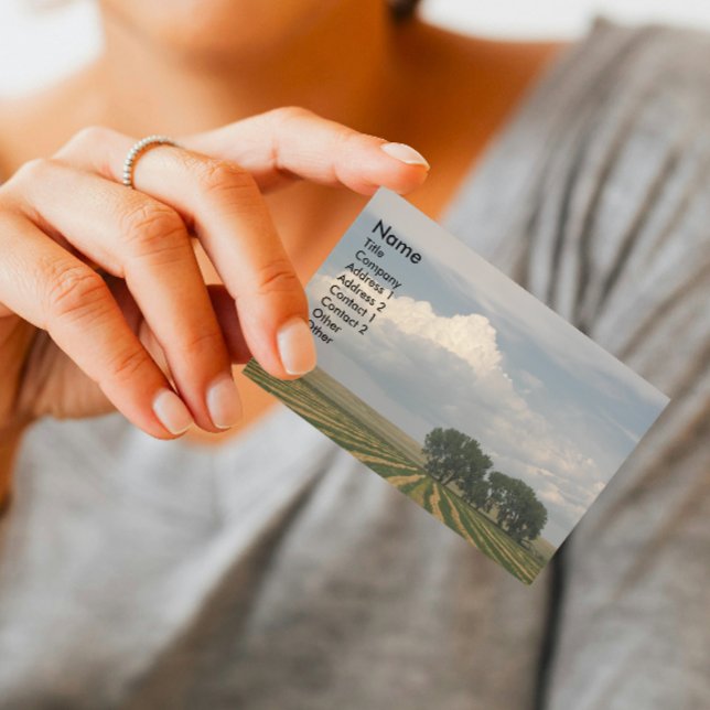 Cartão De Visita Paisagem de Terras Agrícolas do Céu Grande (In Situ)