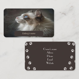 Cartão de visita para Cattery Ragdoll
