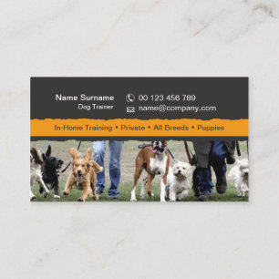 cartão de visita para treinadores de cães